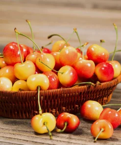 Cherry Vàng Rainier