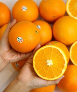 Cam Mỹ Nhập Khẩu