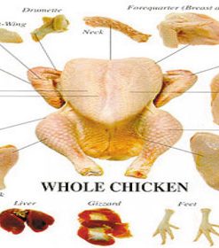 Thịt Gà Mỹ Nhập Khẩu